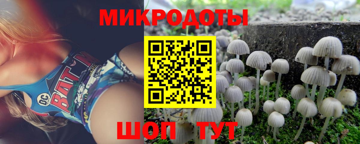где найти наркотики  Галлюциногенные грибы Psilocybe  Вход с VPN  Солнечногорск 